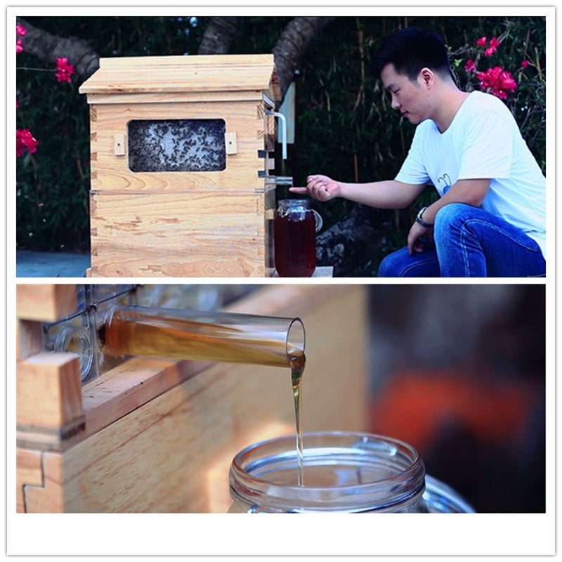 Beekeeping Tool Smart Wooden Beehive